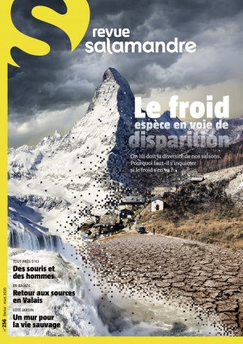 couverture-salamandre2020-256